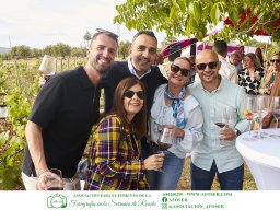 Festival Mar de Tethys 2026 - Bodega Vetas
